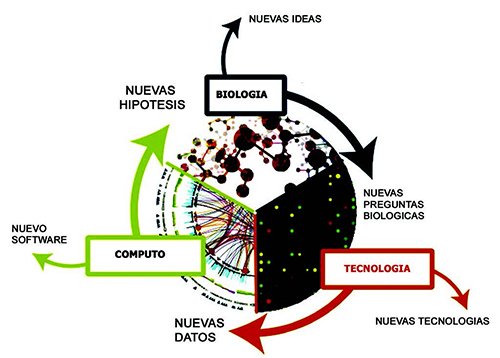 Modelado Computacional